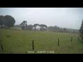Webcam Dartmoor