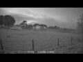 Webcam Dartmoor
