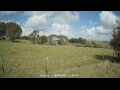 Webcam Dartmoor