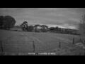 Webcam Dartmoor