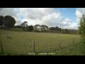 Webcam Dartmoor