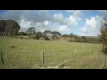 Webcam Dartmoor
