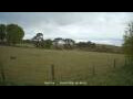 Webcam Dartmoor