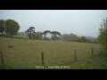Webcam Dartmoor