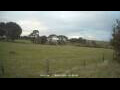 Webcam Dartmoor