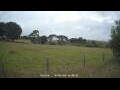 Webcam Dartmoor