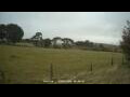 Webcam Dartmoor
