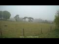 Webcam Dartmoor