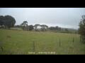 Webcam Dartmoor