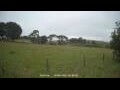 Webcam Dartmoor