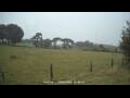 Webcam Dartmoor
