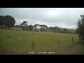 Webcam Dartmoor