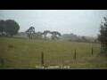 Webcam Dartmoor