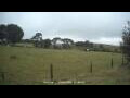 Webcam Dartmoor