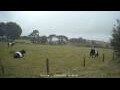 Webcam Dartmoor