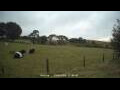 Webcam Dartmoor