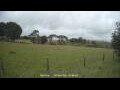 Webcam Dartmoor