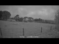 Webcam Dartmoor