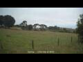 Webcam Dartmoor