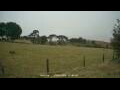 Webcam Dartmoor