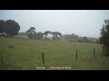 Webcam Dartmoor