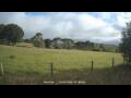 Webcam Dartmoor