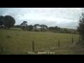 Webcam Dartmoor