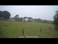 Webcam Dartmoor