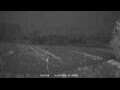 Webcam Dartmoor