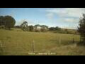 Webcam Dartmoor