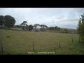 Webcam Dartmoor