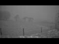 Webcam Dartmoor