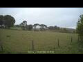 Webcam Dartmoor