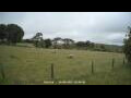 Webcam Dartmoor