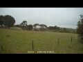 Webcam Dartmoor