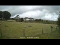 Webcam Dartmoor