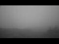 Webcam Blåvand