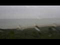 Webcam Blåvand