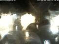 Webcam Bückeburg