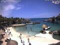 Webcam Playa del Carmen