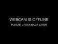 Webcam Hvide Sande
