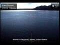 Webcam Grand Princess