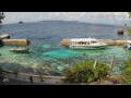 Webcam Huvahendhoo (Atolón Ari)