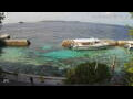 Webcam Huvahendhoo (Ari Atoll)