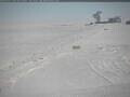Webcam South Pole