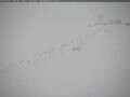 Webcam Polo Sud