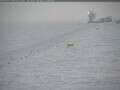 Webcam South Pole