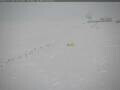 Webcam Polo Sud