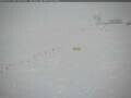 Webcam Amundsen-Scott South Pole Station