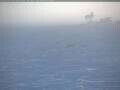 Webcam South Pole